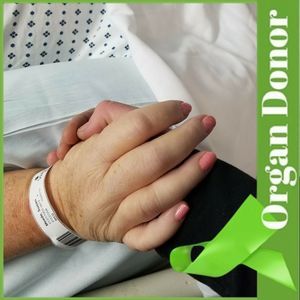 Meet your Posher, Nathan